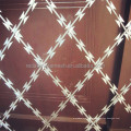razor wire prison fence